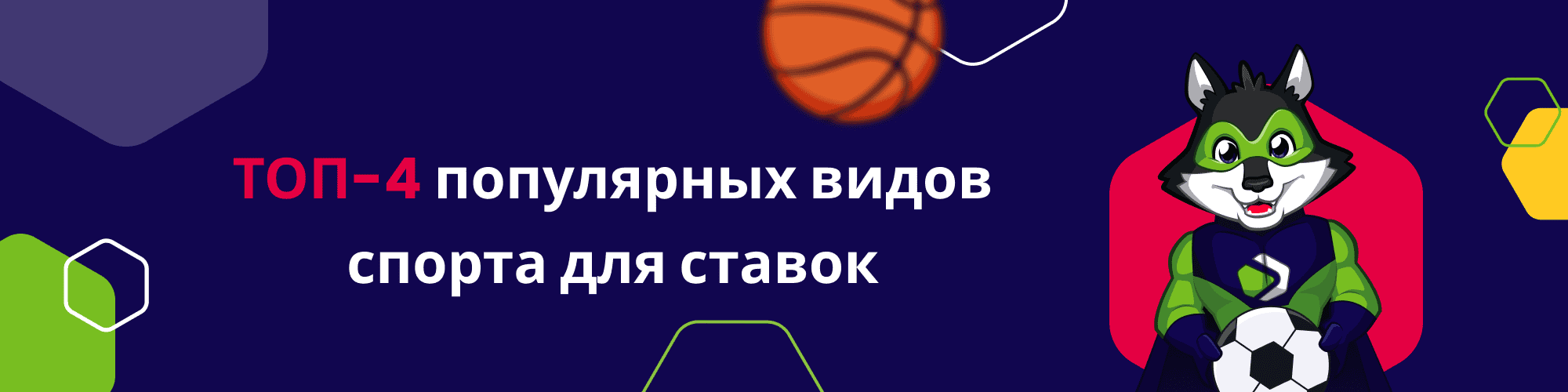 ТОП-4 популярных видов спорта для ставок - баннер
