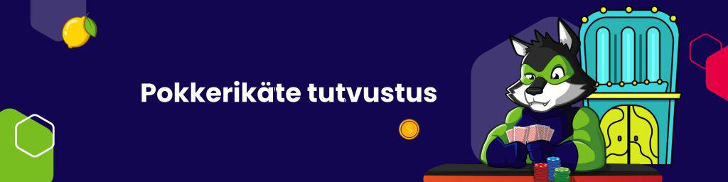 Pokkerikäte tutvustus